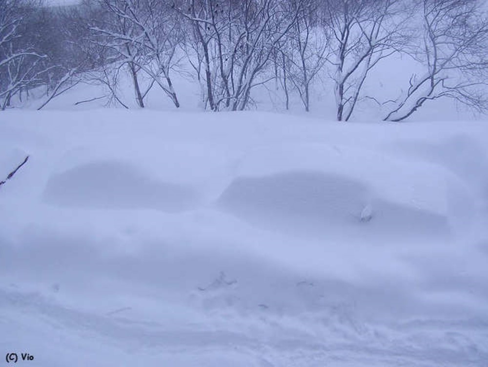 Beautiful And Scary… The Most Terrifying Snowfall You’ve Ever Seen